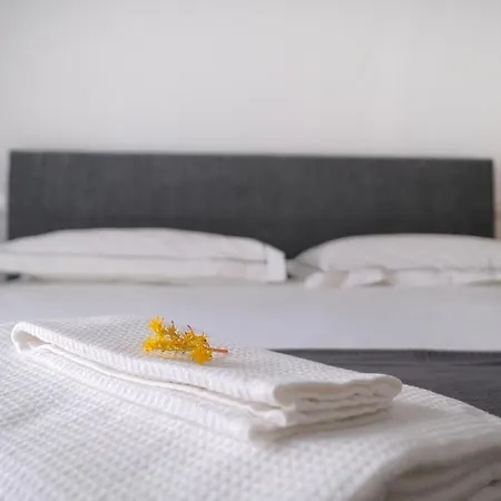 Modern House In The Center Of With Parking 아파트